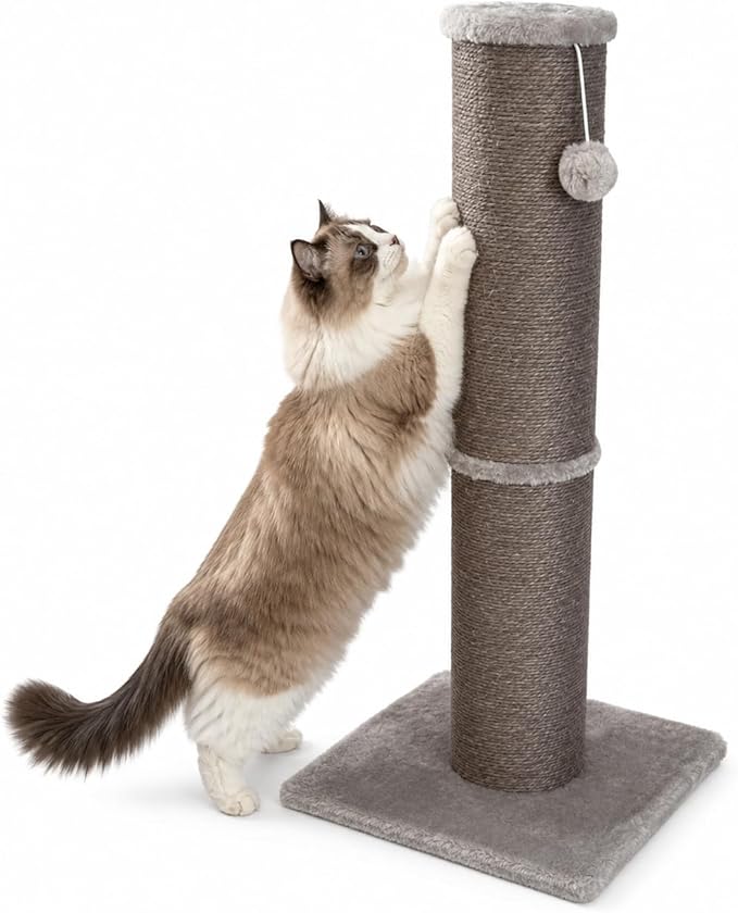Sisal Cat Scratching Post for Indoor Cats & Kittens, 5.5" Diameter Heavy Duty by AGYM