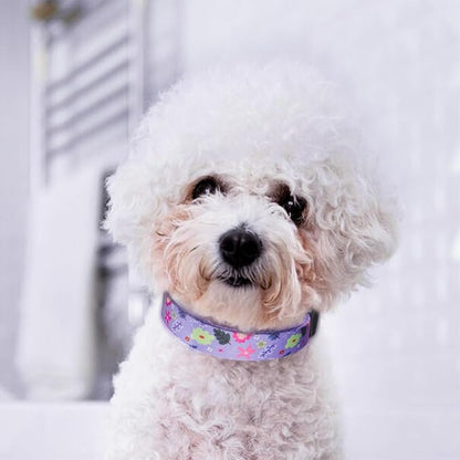 QQPETS Adjustable Soft Dog Collar: Print Flower Pink Multicolor Cute Patterns - Image 2