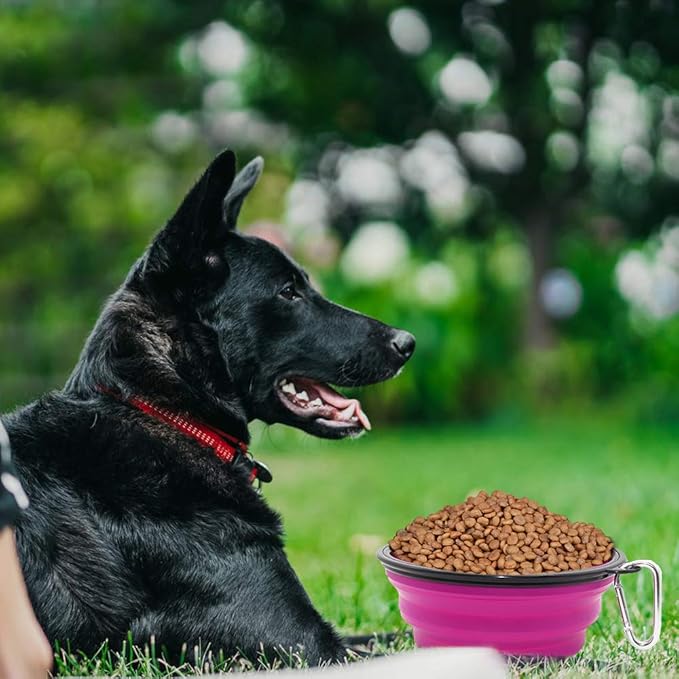 Dog Bowl Pet Collapsible Bowls, 2 Pack Collapsible Dog Water Bowls - Image 2