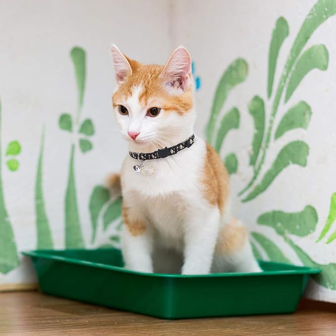 PUPTECK Cat Collar Breakaway - Image 7