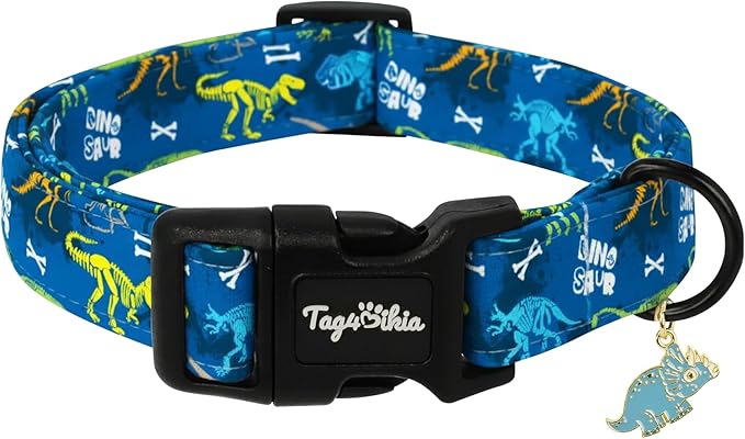 Dinosaur Dog Collar, Cute Boy Dog Collars by Unknown