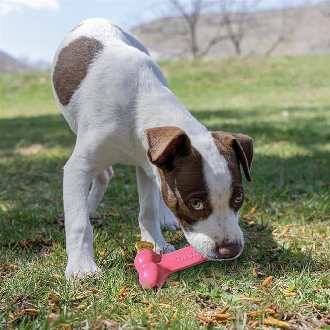 KONG Puppy Goodie Bone - Image 5