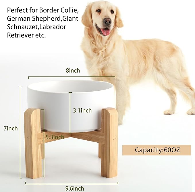 Petygooing White Elevated/Raised Ceramic Dog Bowl - Image 3
