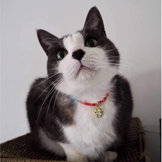 Necoichi Chirimen Cat Collar - Image 6