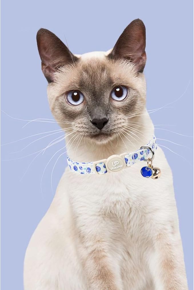 Cat Collar, Cat Collar with Bell, - Image 5