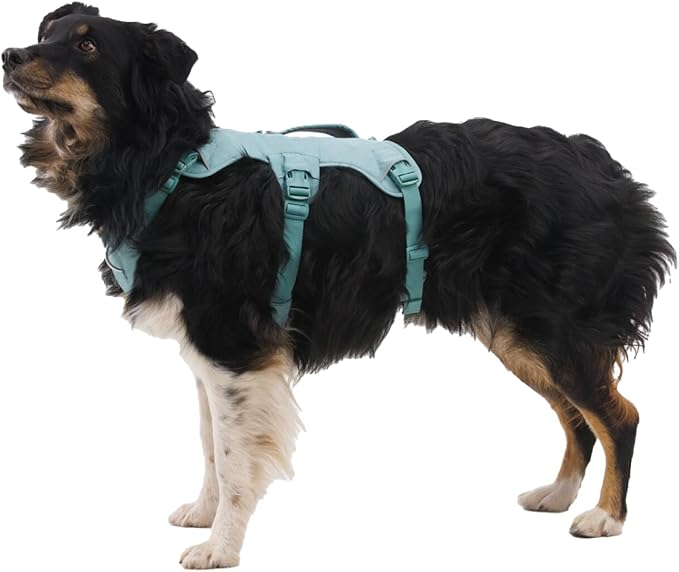 Ruffwear, Web Master, Hiking and Trail Running, Service and Working, Everyday - Image 4