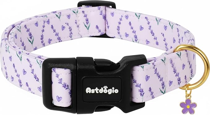 Dog Collar for Extra Small Dogs, Spring Purple Dog Collars by Unknown