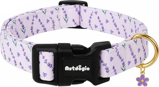 Dog Collar for Medium Dogs, Spring Purple Dog Collars by Unknown