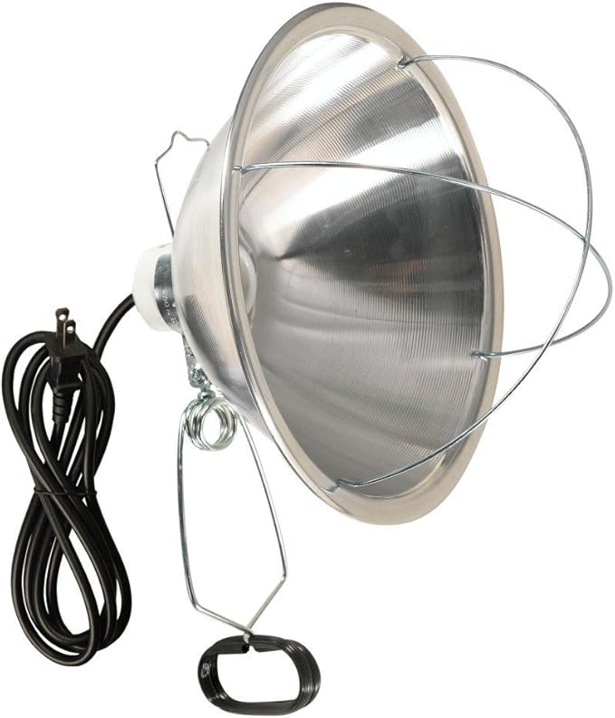 Woods Clamp Lamp with 10 Inch Reflector and Bulb Guard by Woods