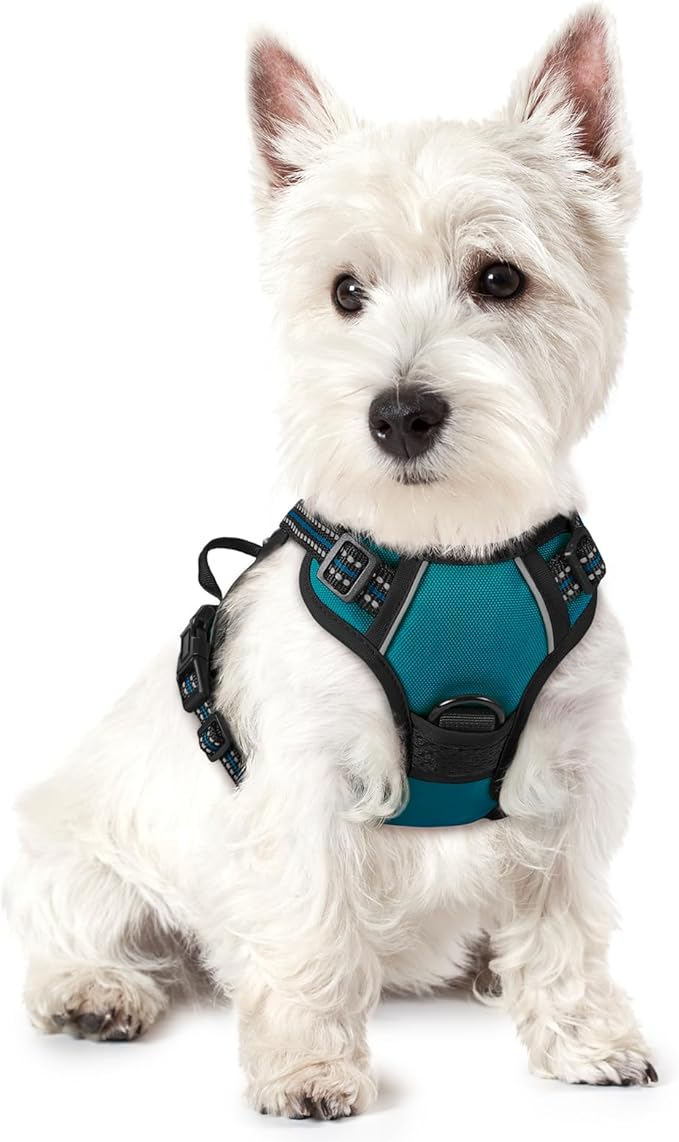 rabbitgoo Dog Harness No Pull by rabbitgoo