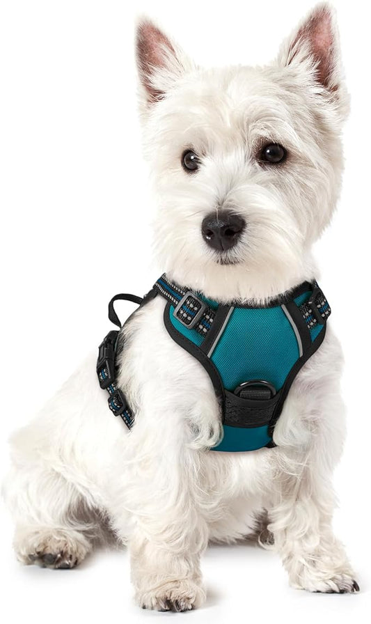 rabbitgoo Dog Harness No Pull by rabbitgoo