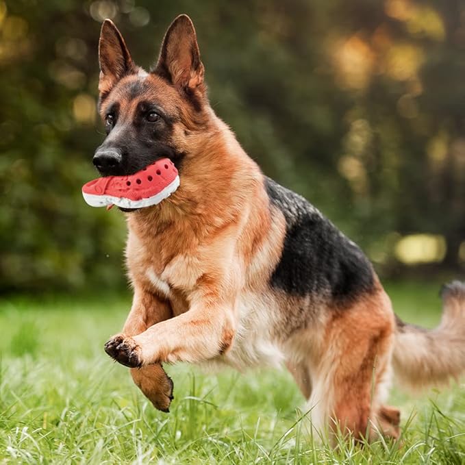 Dog Chew Toys, Tough Dog Toys for Aggressive Chewers, Durable Rubber Puppy Toy - Image 7