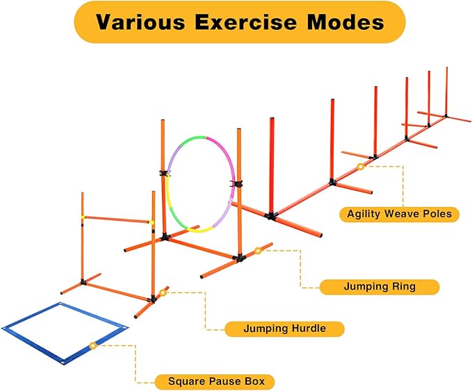 Dog Agility Course Backyard Set, 4 Sets Pet Agility Training Equipment - Image 3