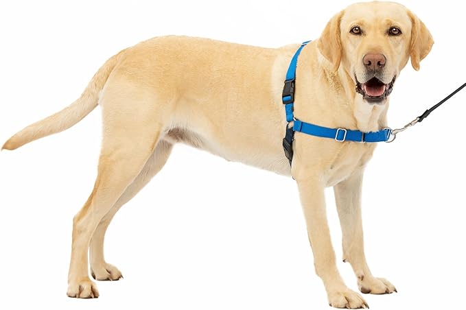 PetSafe Easy Walk No-Pull Dog Harness by PetSafe