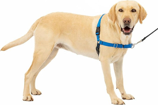 PetSafe Easy Walk No-Pull Dog Harness by PetSafe
