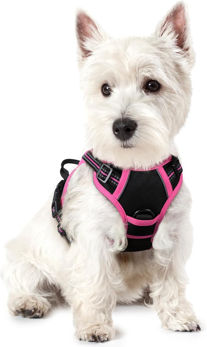 rabbitgoo Dog Harness No Pull by rabbitgoo