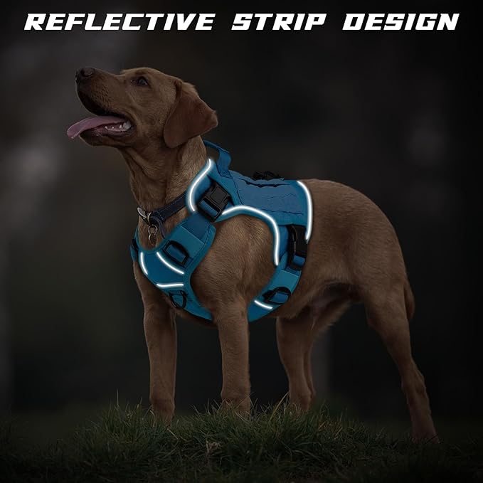 WINGOIN Blue Tactical Dog Harness - Image 3
