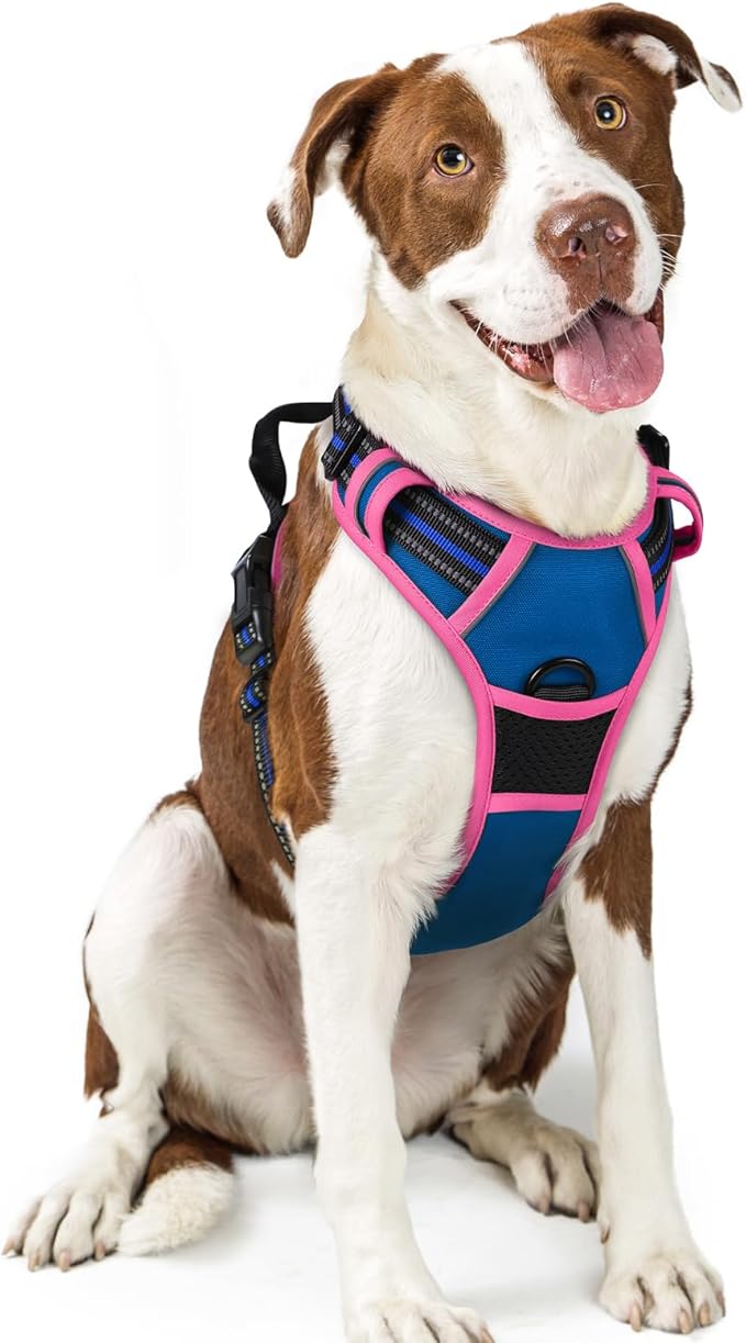 rabbitgoo Dog Harness No Pull by rabbitgoo