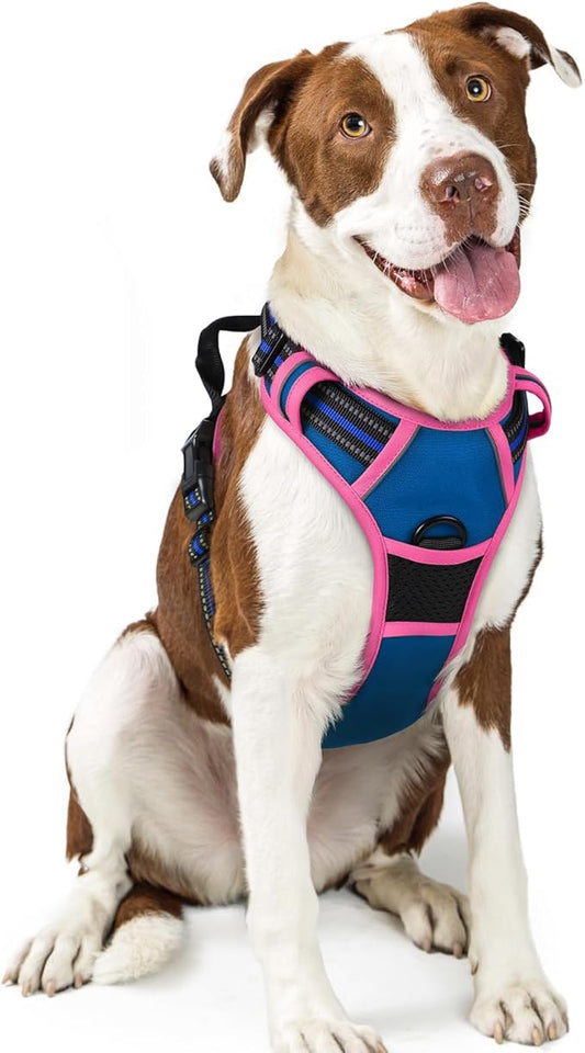 rabbitgoo Dog Harness No Pull by rabbitgoo