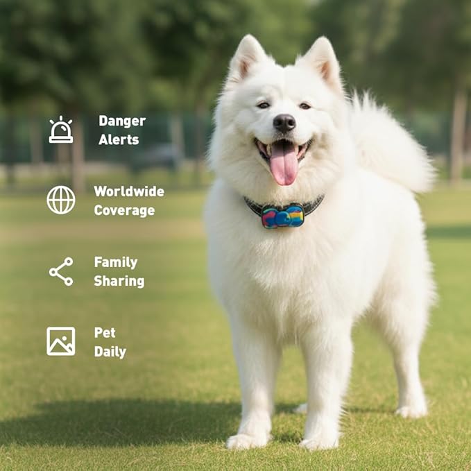 4G Smart GPS Dog Tracker with Real-Time Location, Virtual Fence & Activity - Image 8