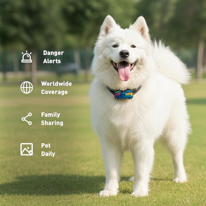 4G Smart GPS Dog Tracker with Real-Time Location, Virtual Fence & Activity - Image 8
