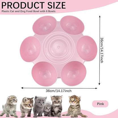 DOERDO Cat Feeding Bowl, Plastic Cat and Dog Food Bowl - Image 2
