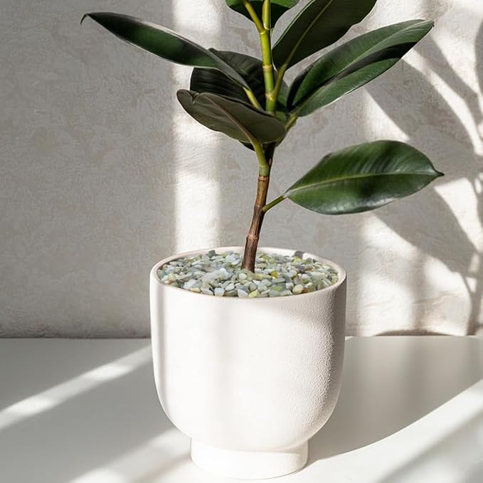 YISZM 10LB Succulent and Cactus Pebbles, 1/5 Inch Jade Natural Decorative - Image 5