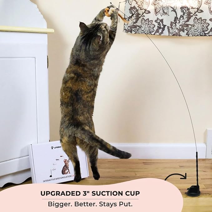 Whiskertons Interactive Bird Simulation Cat Toy Set, Interactive Cat Toys - Image 2