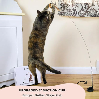 Whiskertons Interactive Bird Simulation Cat Toy Set, Interactive Cat Toys - Image 2