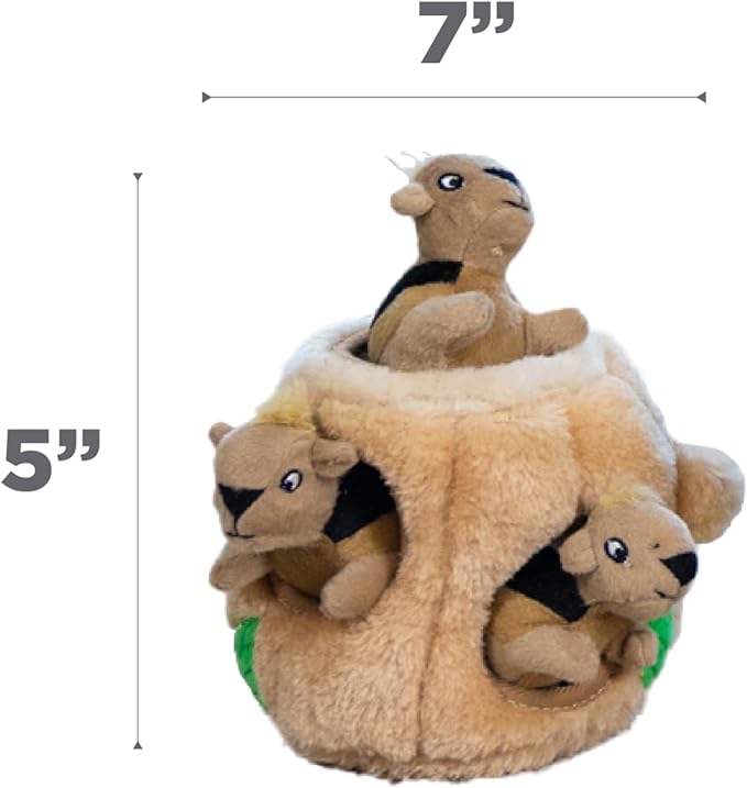 Outward Hound Hide-A-Squirrel Dog Toy – Interactive 2‑in‑1 Plush Puzzle - Image 7
