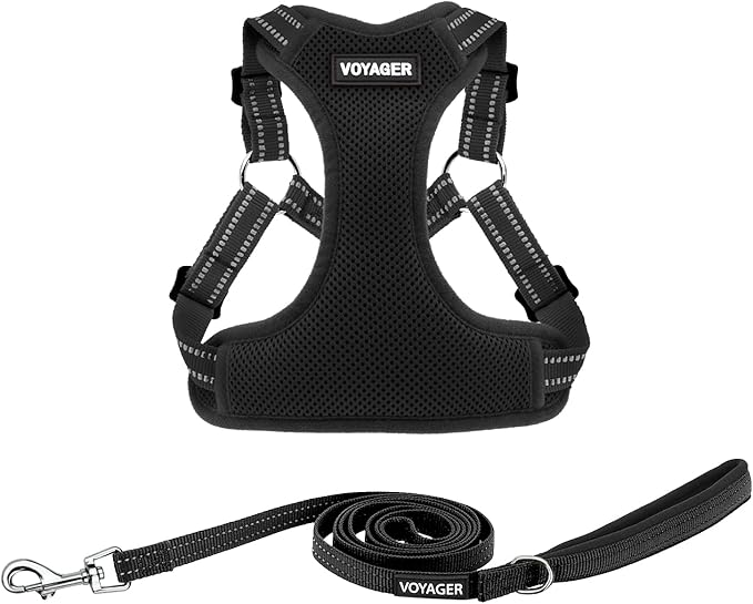 Best Pet Supplies Voyager Adjustable Step-in Flex Breathable Mesh Dog Harness by BestPetSuppliesLLC