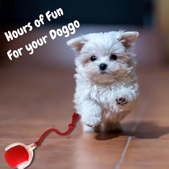 Interactive Cat Toy, Electric DogBall Toy, Cat Toys - Image 6
