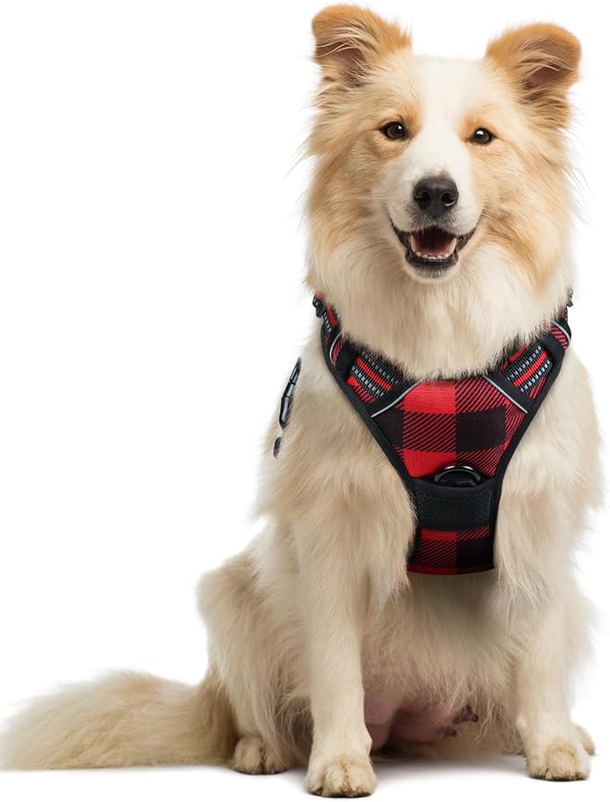 rabbitgoo Dog Harness No Pull by rabbitgoo