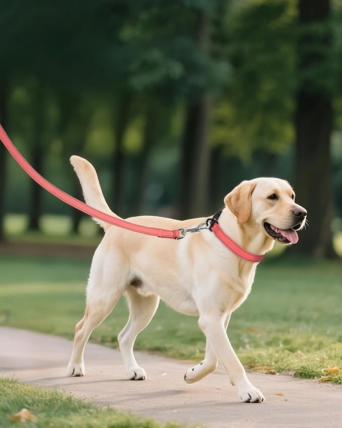Joytale Extra Large Dog Collar, Wide Double-Sided Reflective Nylon Collar - Image 6