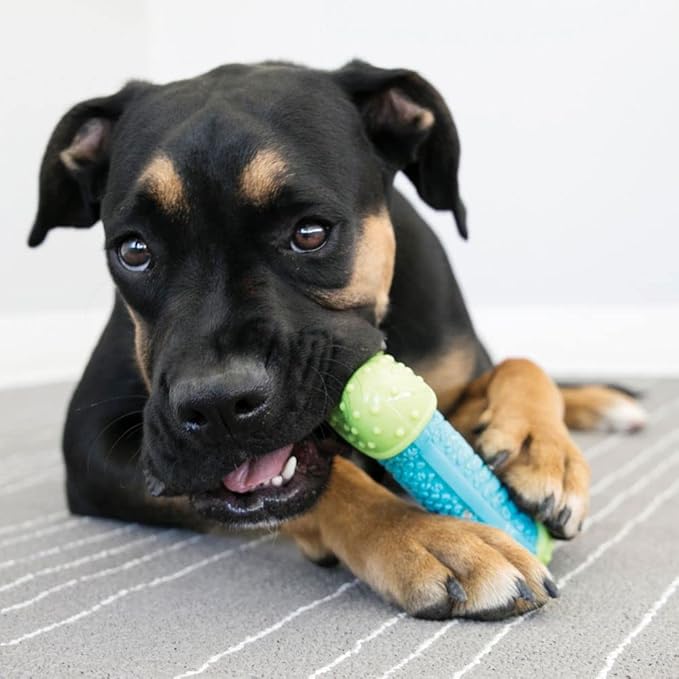 KONG CoreStrength Bone - Image 5