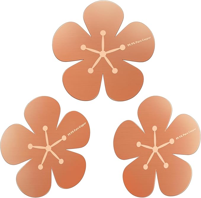 3Pcs Bird Bath Copper Purification Disk 99.99% Pure Copper Water Cleaning Discs by Conderyang