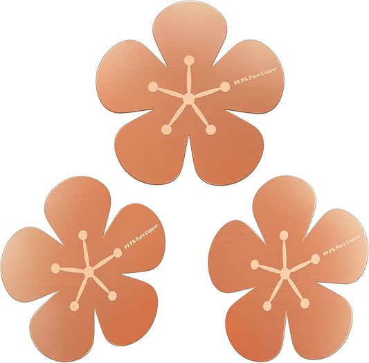 3Pcs Bird Bath Copper Purification Disk 99.99% Pure Copper Water Cleaning Discs by Conderyang