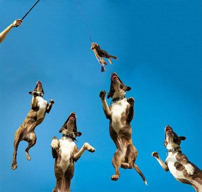 ASOCEA Dog Extendable Teaser Wand Pet Flirt Stick Pole Puppy Chasing Tail - Image 7