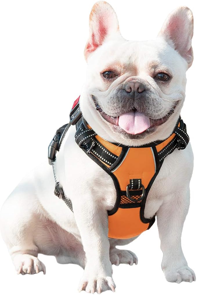 PHOEPET No Pull Dog Harnesses for Small Dogs Reflective Adjustable Front Clip - Image 8