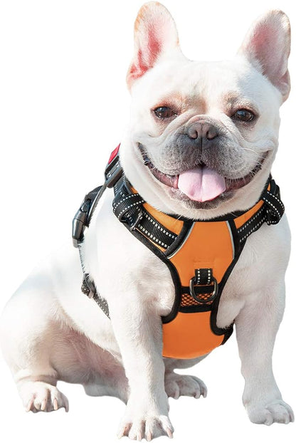 PHOEPET No Pull Dog Harnesses for Small Dogs Reflective Adjustable Front Clip - Image 8