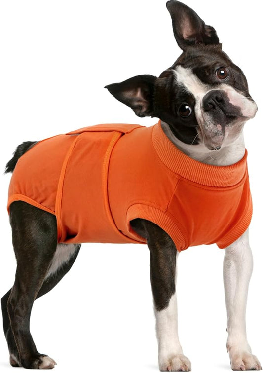 FUAMEY Dog Recovery Suit Male, Dogs Surgery Neuter Suits Puppy Spay Shirts by FUAMEY