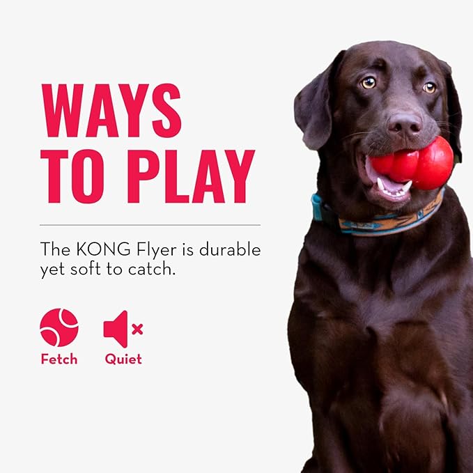 KONG Flyer - Durable Dog Toy for Outdoor Playtime - Natural Rubber Flying Disc - Image 6