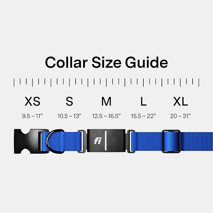 Fi New Series 3+ Smart Dog Tracker Collar GPS Tracker - Image 5