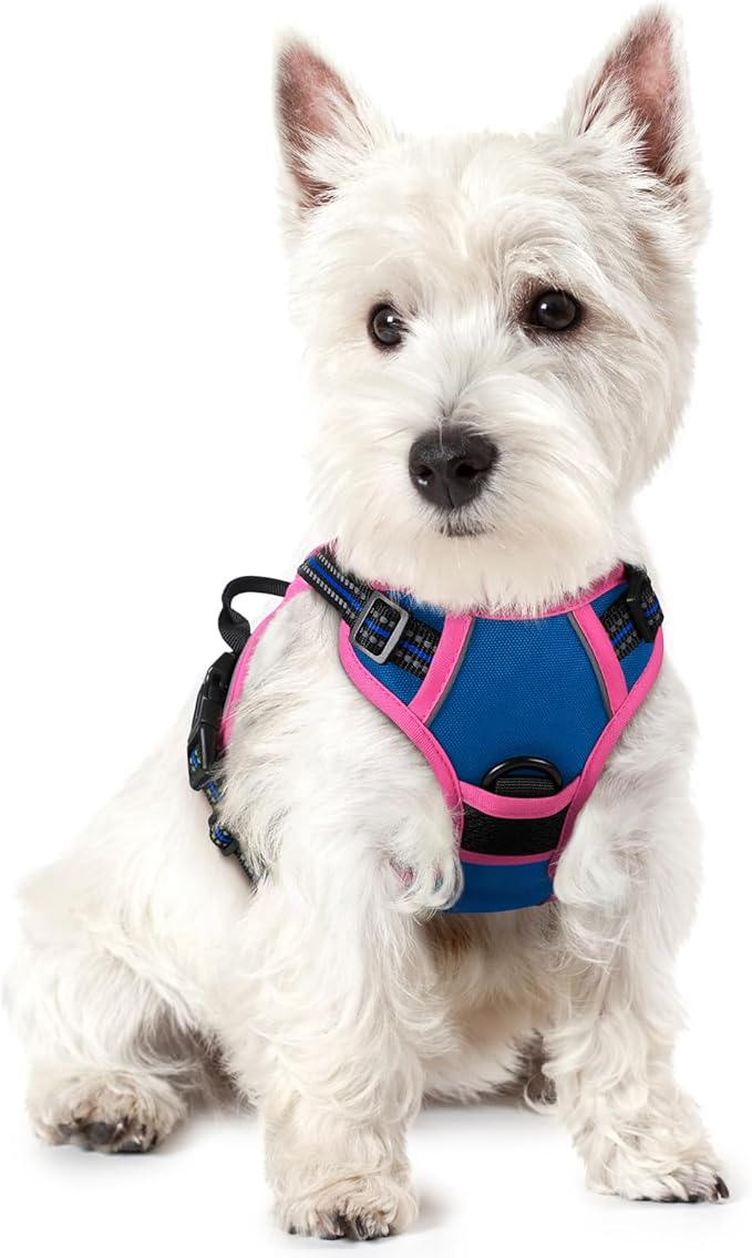 rabbitgoo Dog Harness No Pull by rabbitgoo