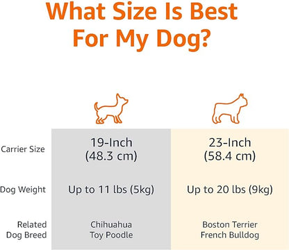 Amazon Basics Sturdy Portable 2-Door Top-Load Hard-Sided Pet Travel Carrier - Image 3