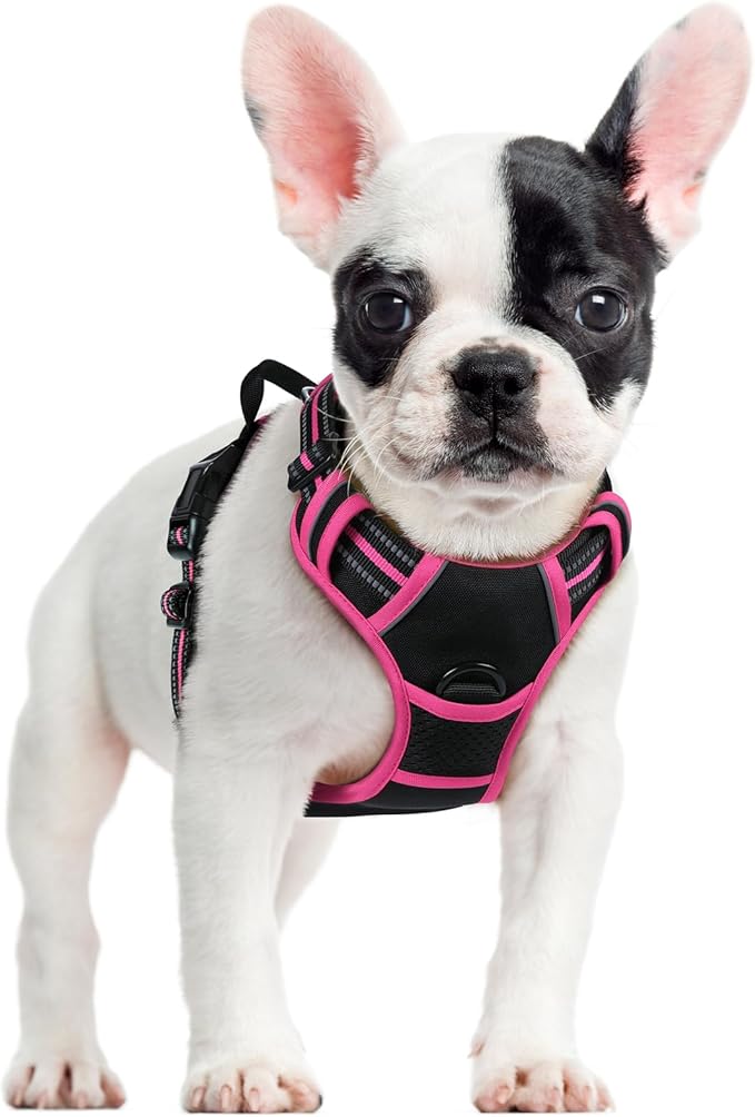 rabbitgoo Dog Harness No Pull by rabbitgoo