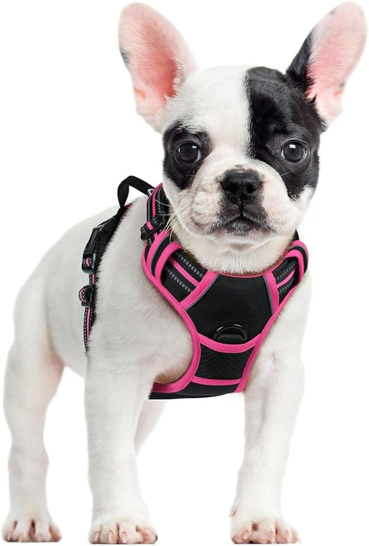 rabbitgoo Dog Harness No Pull by rabbitgoo