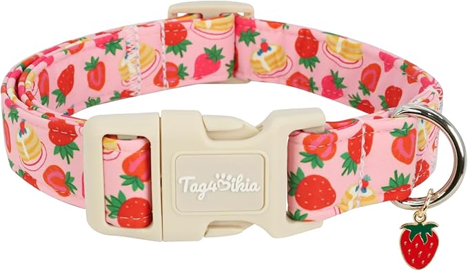 Dog Collar with Strawberry Patterns, Spring Summer Collection Pink Dog Collar by Unknown