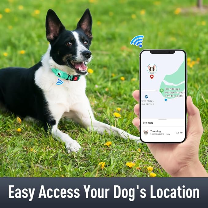 AirTag Dog Collar with AirTag Holder Compatible - Image 2