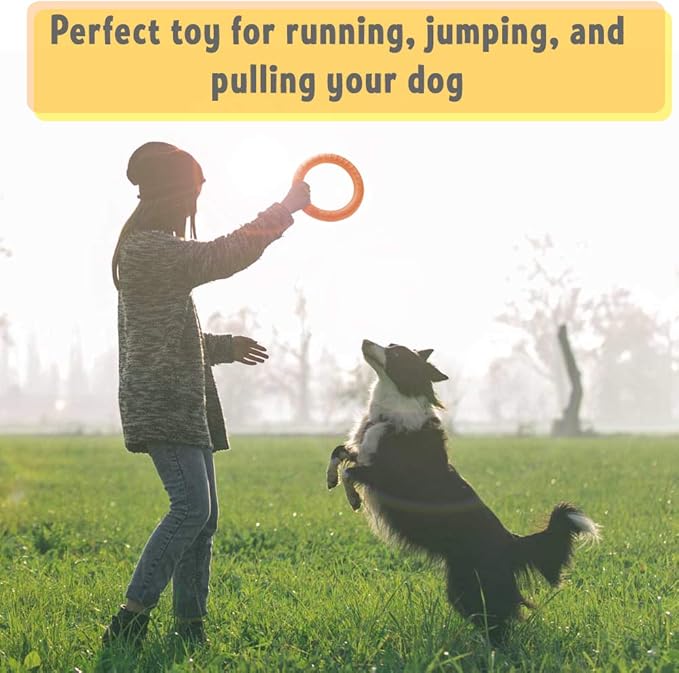 PetSpy Dog Ring Toy – Flying Ring - Image 4
